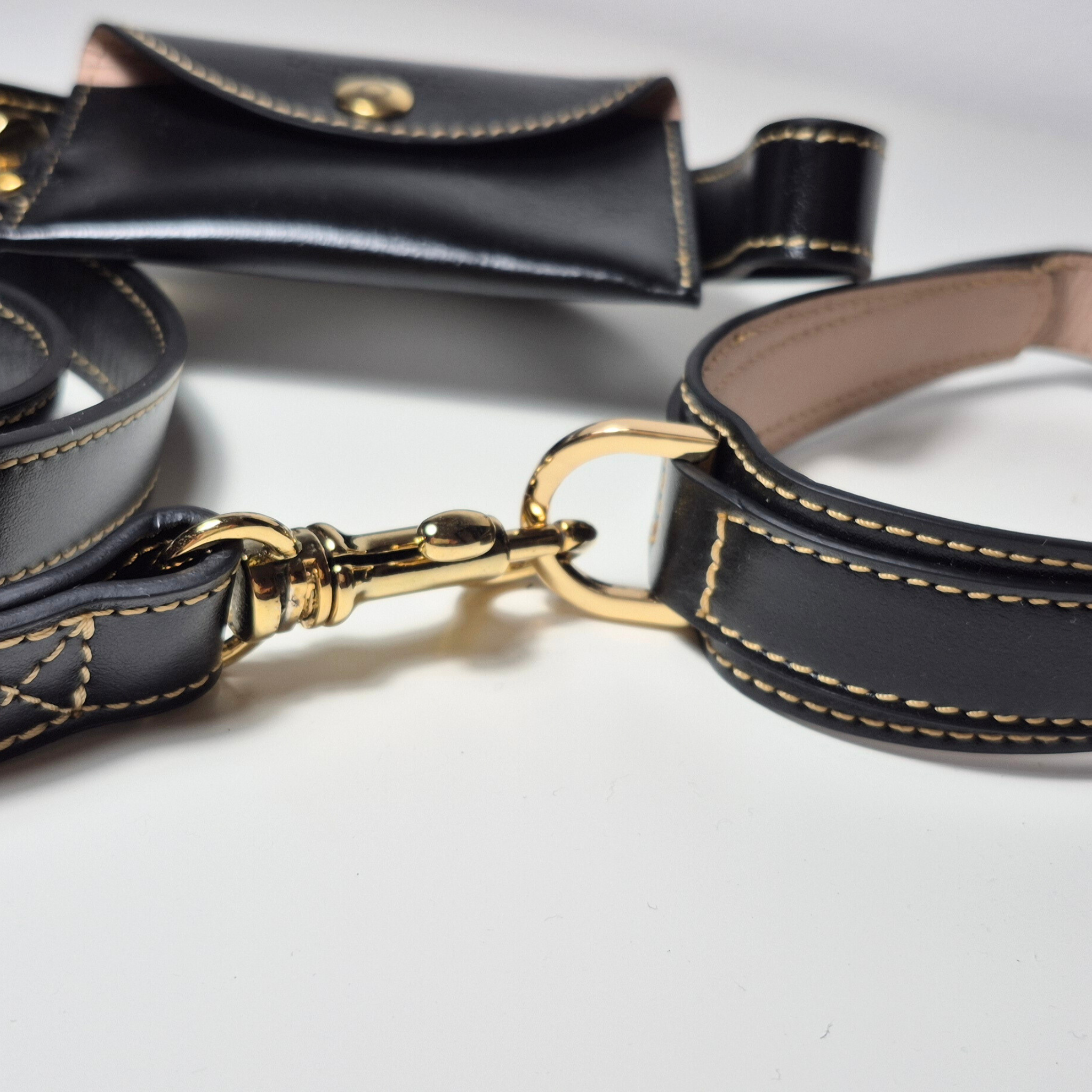 Set Collare e Guinzaglio in Pelle con Porta Sacchetti